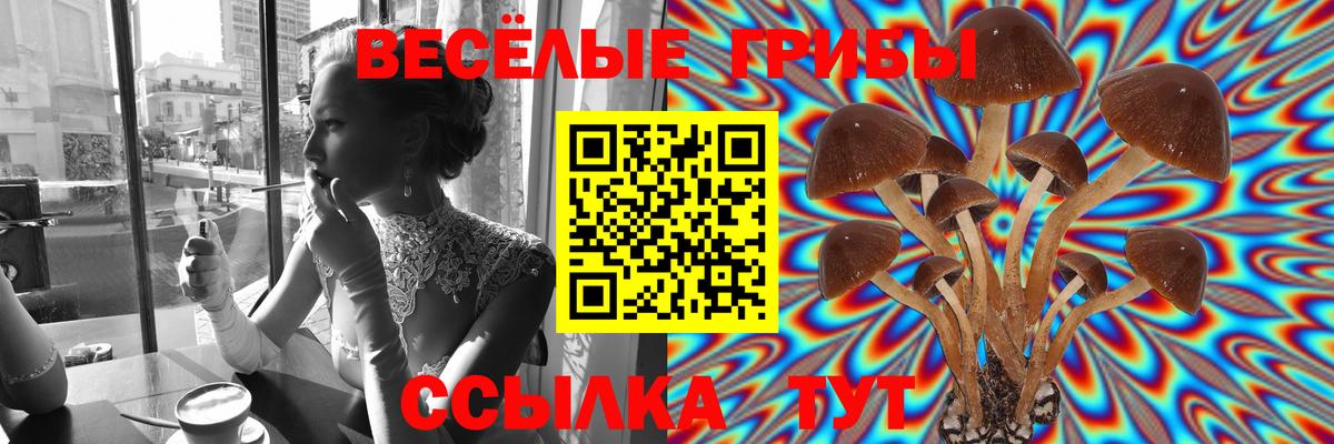 Псилоцибиновые грибы Cubensis  Вход с VPN  Северобайкальск 